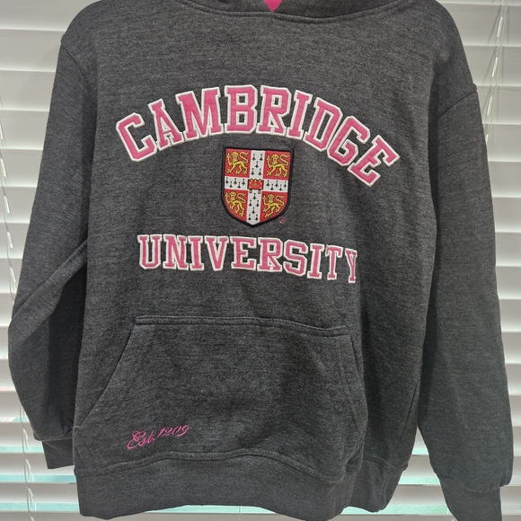 Cambridge University Gray Hoodie, Warm, Size M, Official Merchandise - Picture 2 of 9
